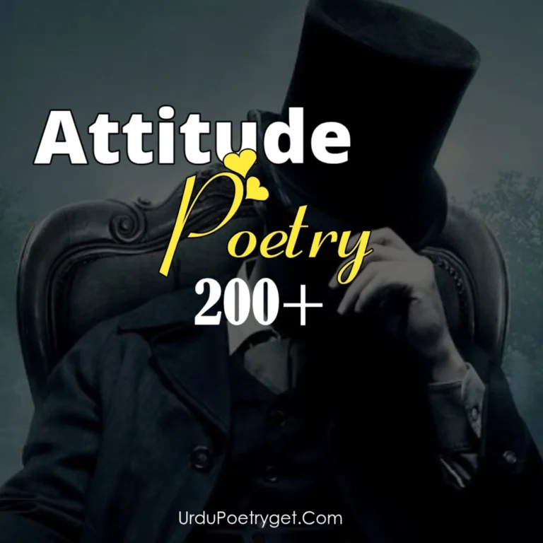 Attitude Poetry in Urdu – 2 Lines Text Boys & Girls (Copy Easily)