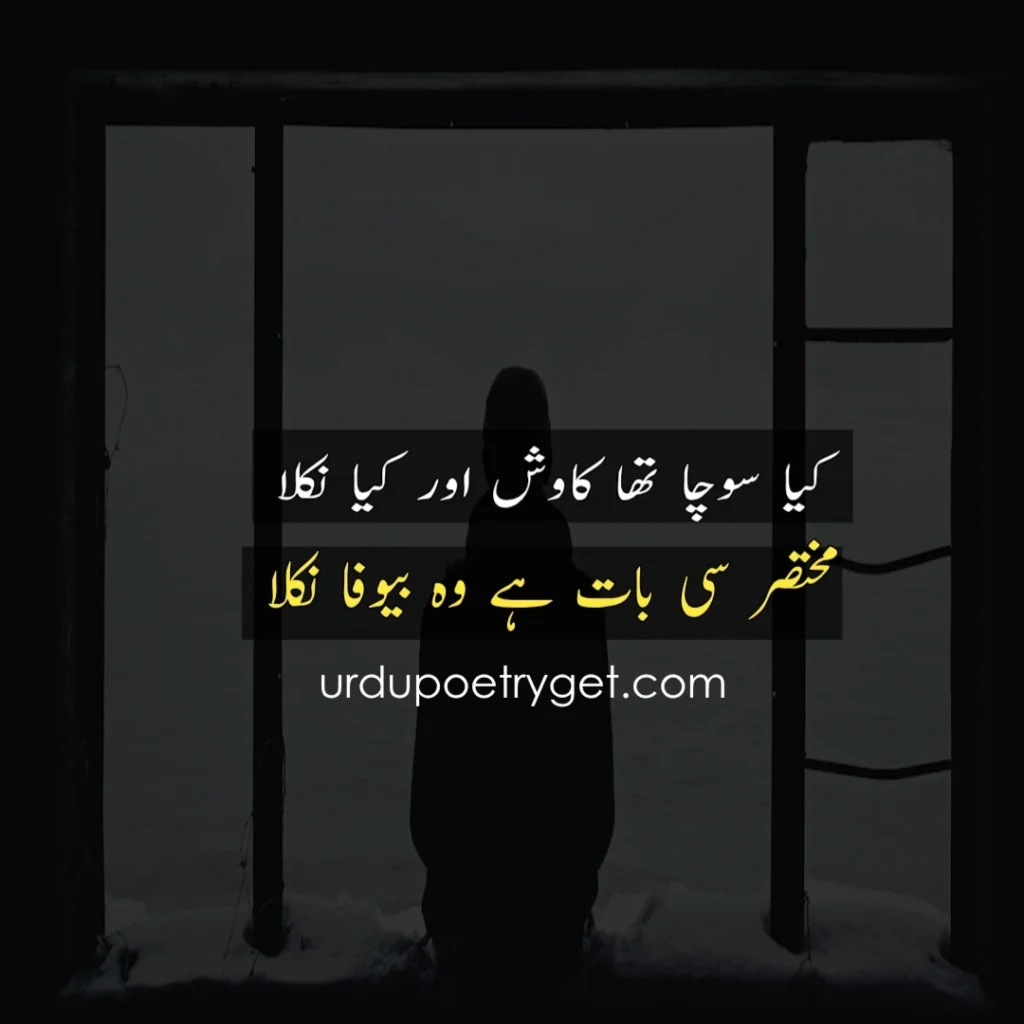 Bewafa Poetry in Urdu 2 Lines