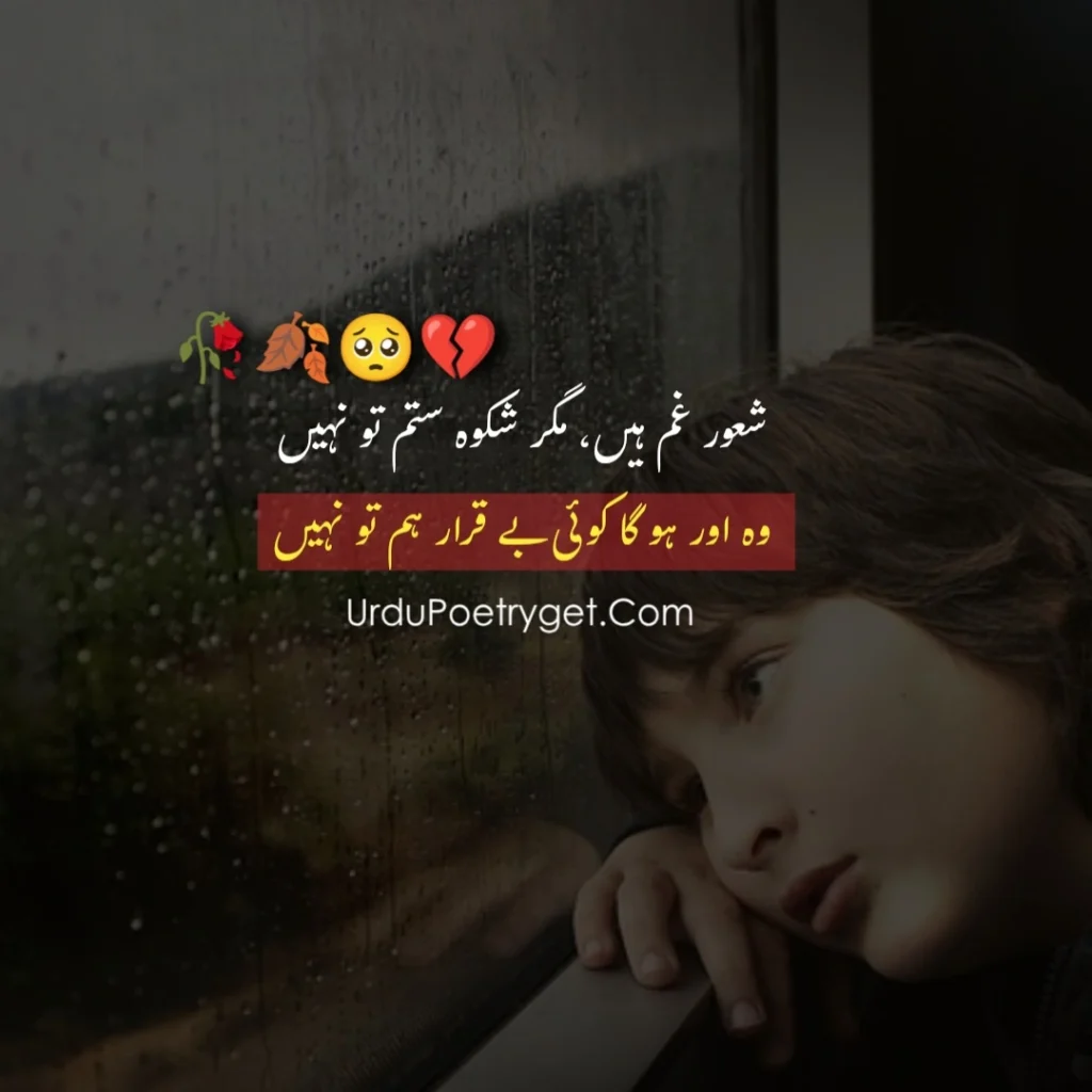 Top 200+ Lines On Loneliness Poetry In Urdu Copy Paste