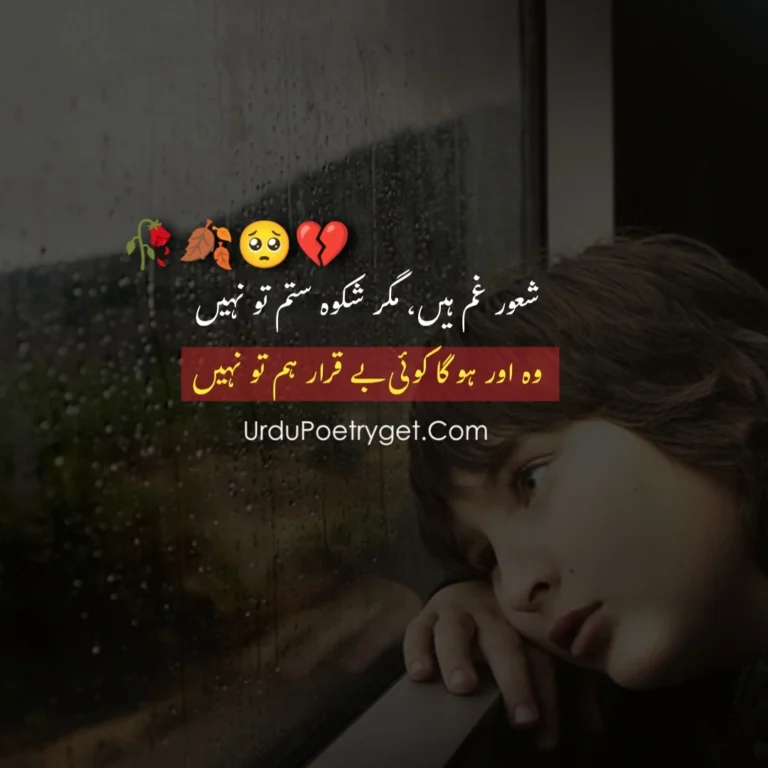 Top 200+ Lines On Alone Poetry In Urdu Copy Paste
