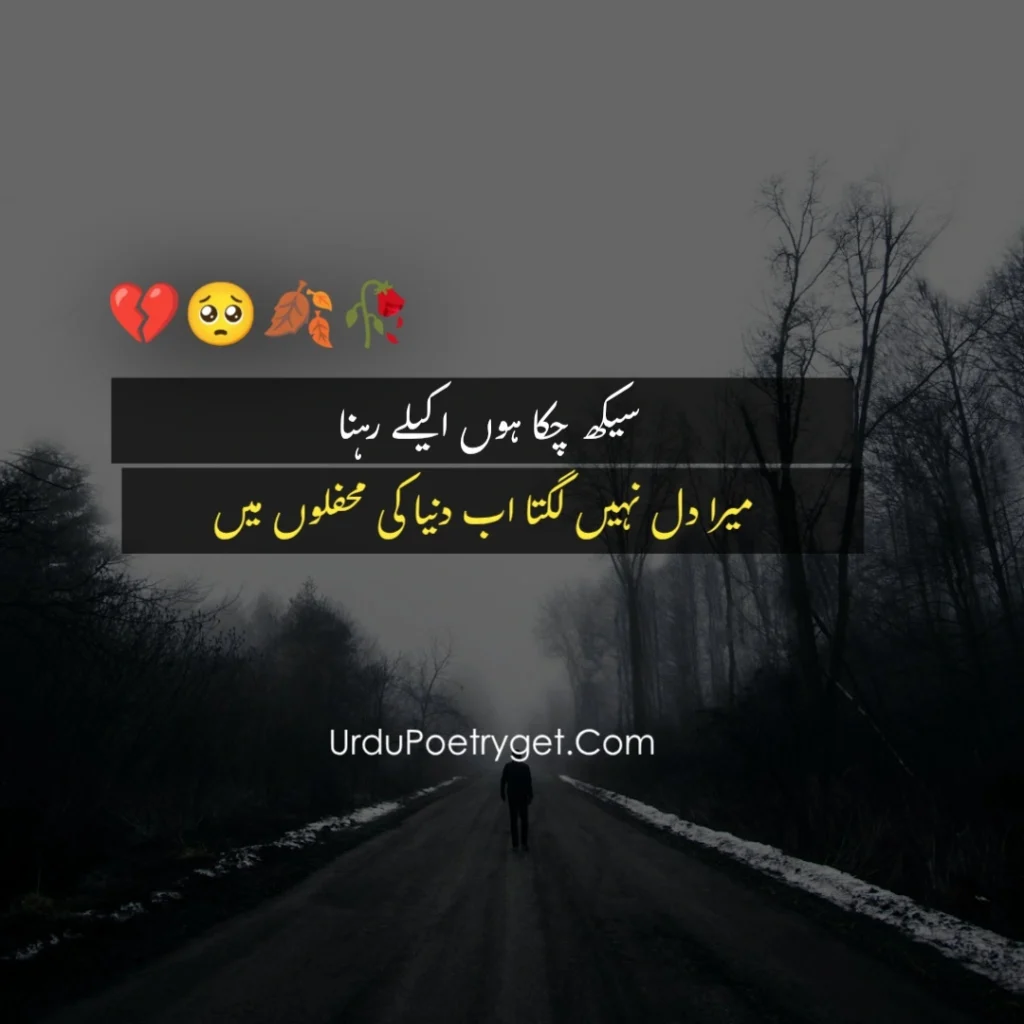 Top 200+ Lines On Alone Poetry In Urdu Copy Paste