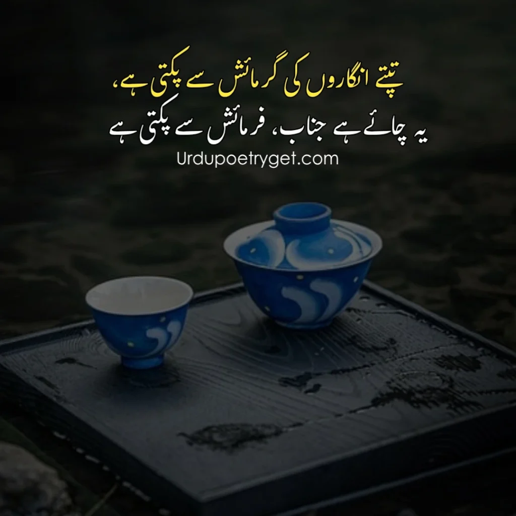 80+ Chai Poetry in Urdu – Best Tea Shayari Collection