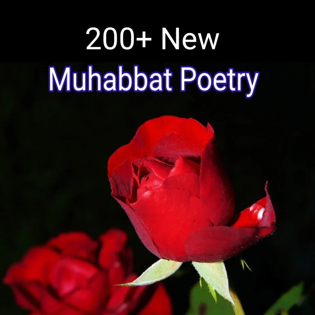 20+ 2 Line Sad Muhabbat Poetry in Urdu for Heartbroken Lovers