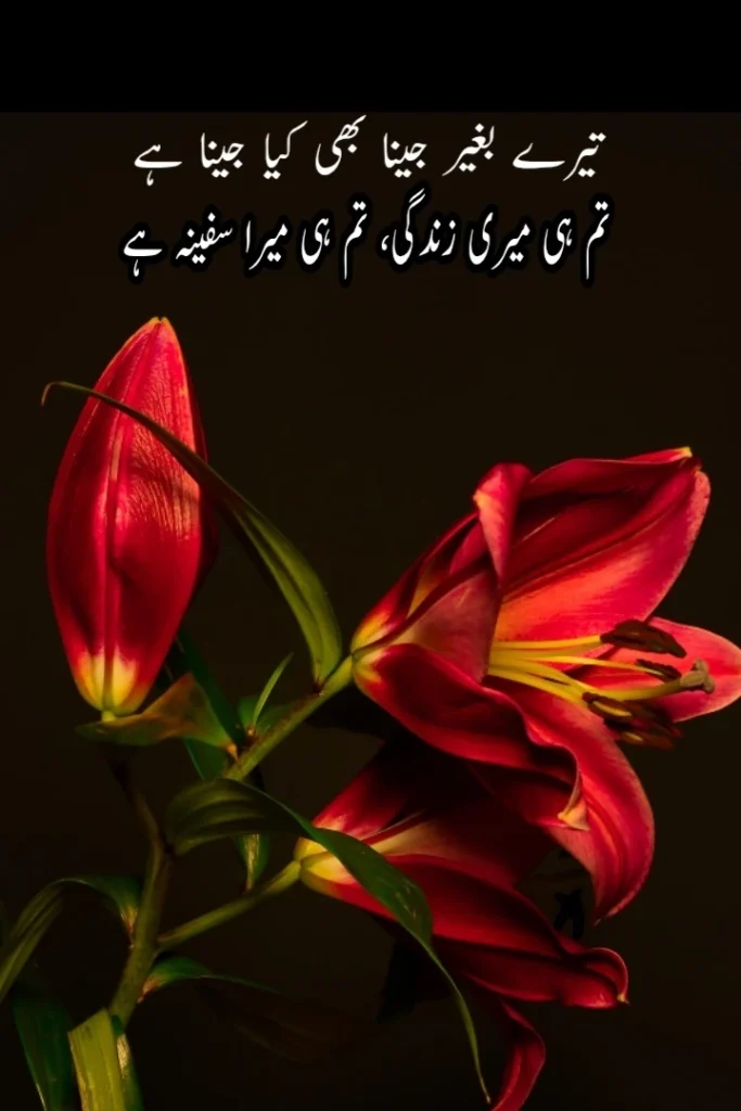 50+ Best 2 Line Muhabbat Poetry in Urdu for Boyfriend & Girlfriend